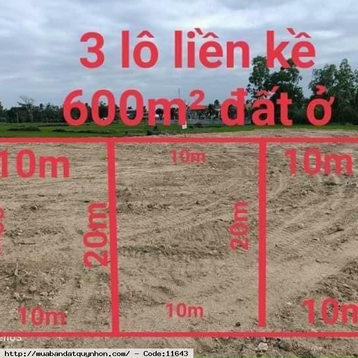 Bán 3 lô đất liền kề xã cát sơn huyện phù cát Bán 3 lô đất liền kề xã cát sơn huyện phù cát