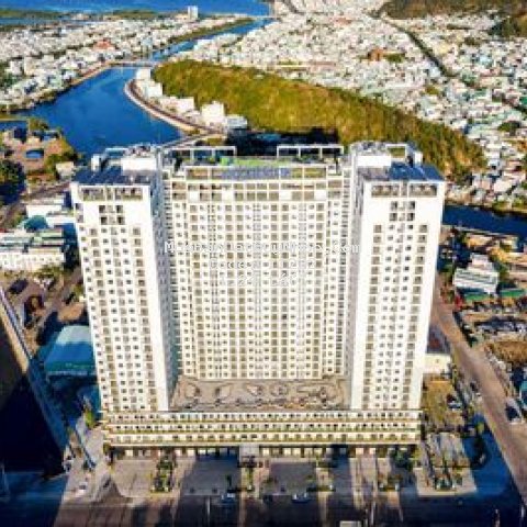 Bán căn ecolife view hồ bơi, tầng cao 64m 1ty24 tr