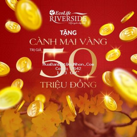 Bán chung cư tại quy nhơn 2pn 60m2 - giá ra sổ