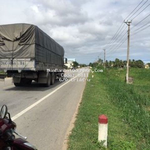 Bán đất đấu giá nằm quốc lộ 1 a thị trấn phù mỹ
