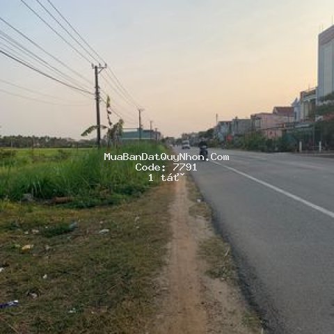 Bán đất nằm quốc lộ 1a thị trấn huyện phù mỹ