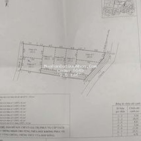 Bán đất phường lê hồng phong
