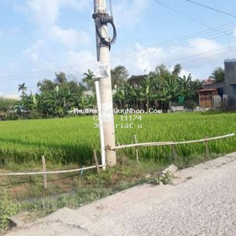 Bán đất ruộng