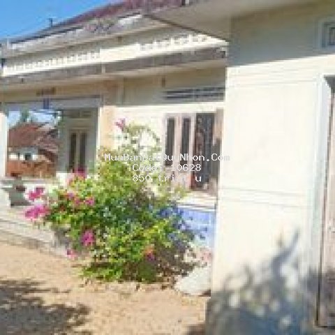 Bán gấp nhà + đất 1000m2 ( 200 ont)