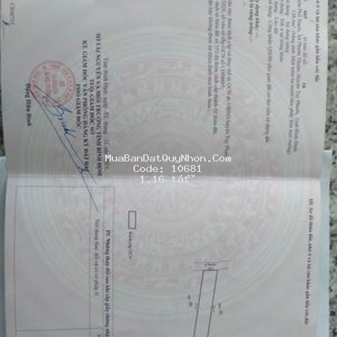 Bán lô đất full thổ cư sát ql 19 mới