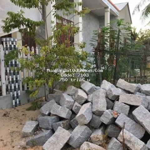 Bán lô đất ở khu vực đường bốn tam quan nam