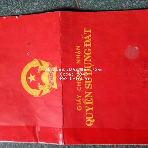 Cần bán đất ruộng.
