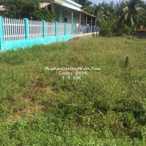 Cần bán gấp đất