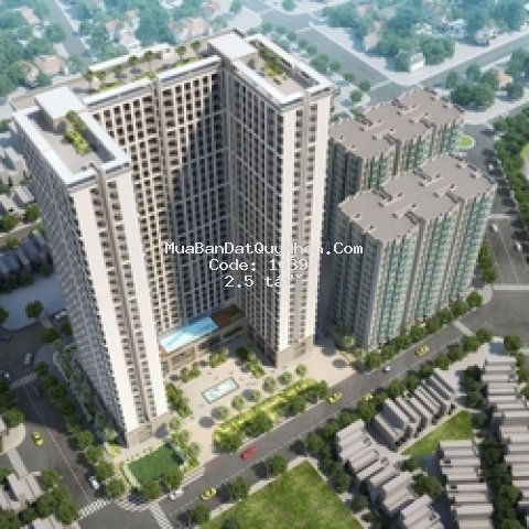 Căn hộ cao cấp phú tài residence 72m² - 2 pn