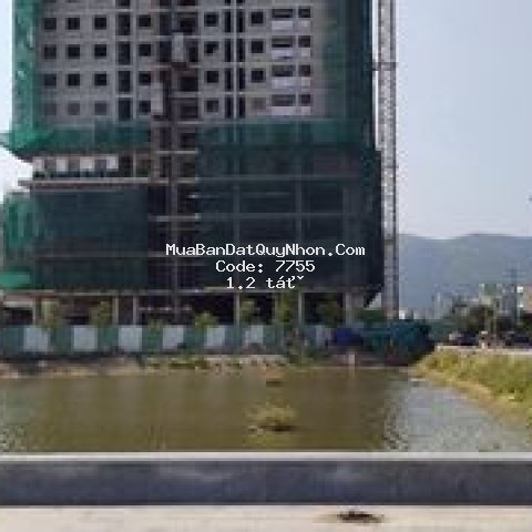 Căn hộ chung cư tháng 5 2021 bàn giao ecolife