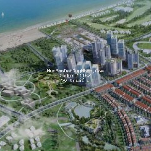 Căn hộ dịch vụ, mini nhơn hội new city 1.300m²