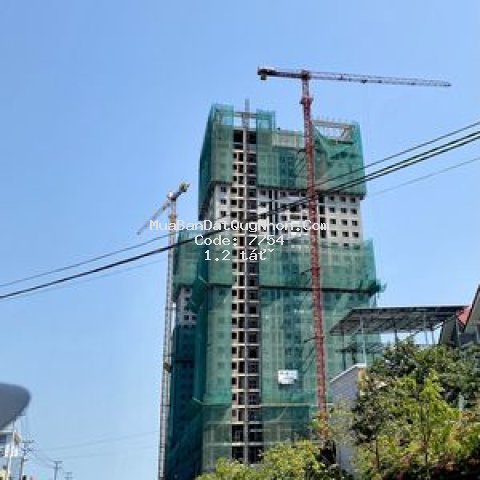 Căn hộ ecolife riverside sống như nghỉ dưỡng