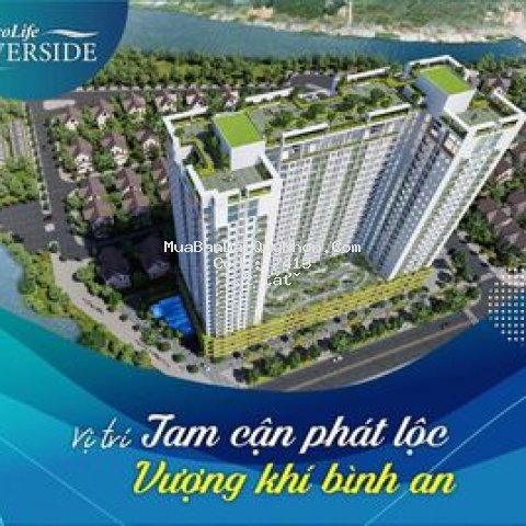 Căn hộ quy nhơn ecolife riversidecăn hộ chuẩn xanh