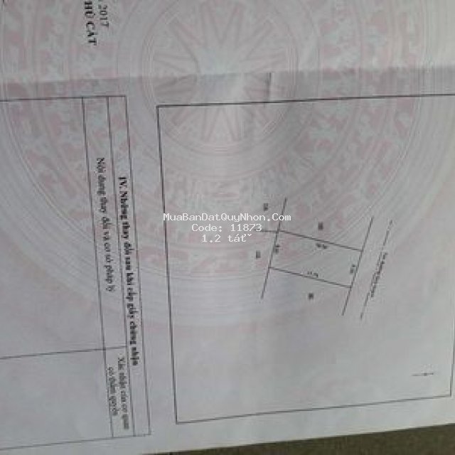 Cần tiền trả nợ bán gấp