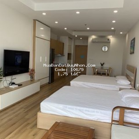 Chung cư tms luxury quy nhơn 47m² 1pn