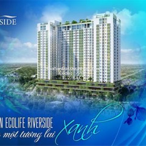 Chung cư trung tâm qui nhơn 64m² 2 pn 2wc