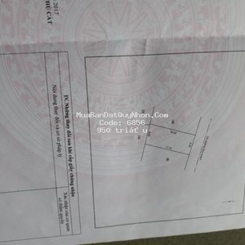 đất mặt tiền chợ, trung tâm thương mại