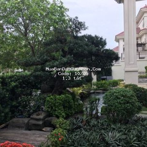 đất mặt tiền ql1a , khu vực đông dân cư