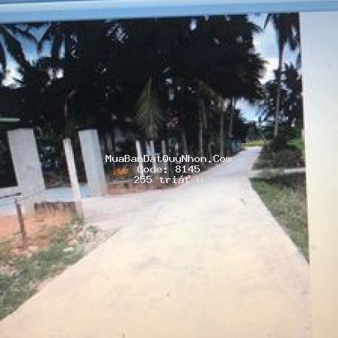 đất nền siêu rẻ