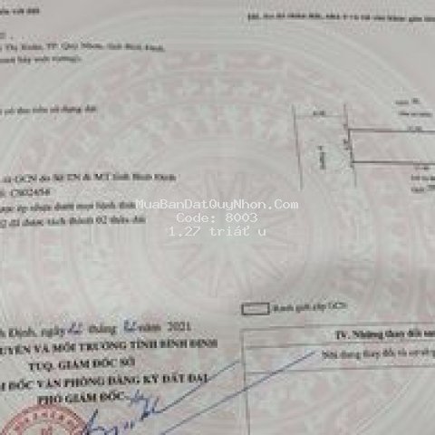 đất quốc lộ chính chủ