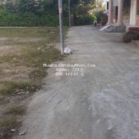 đất rẻ bùi thị xuân
