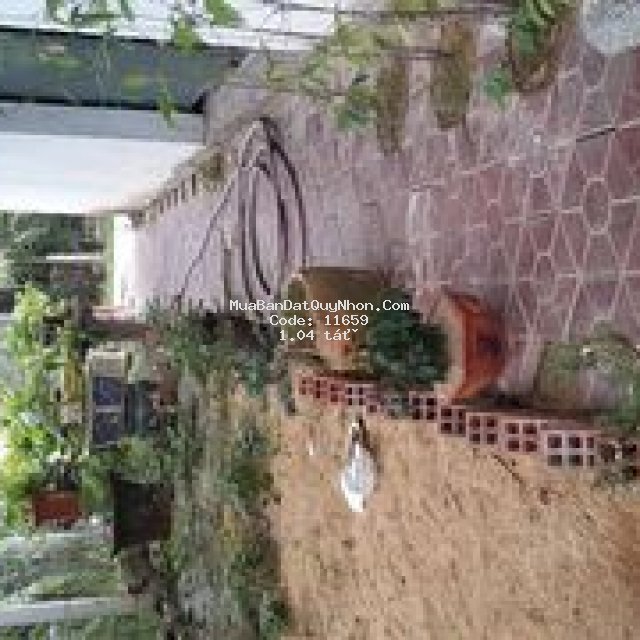 đất sổ đỏ 141m2(8.3×18)tam quan nam,hoài nhơn