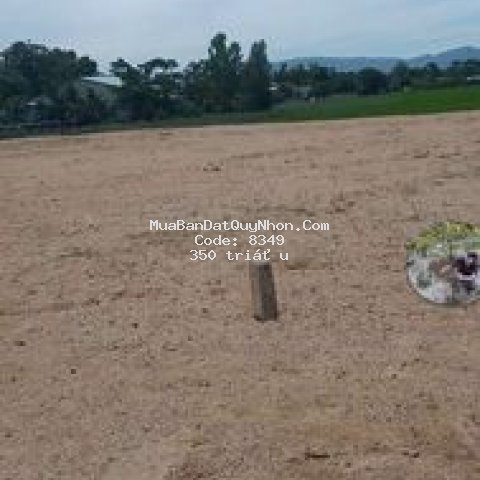 đất sổ đỏ 3 lô liền kề