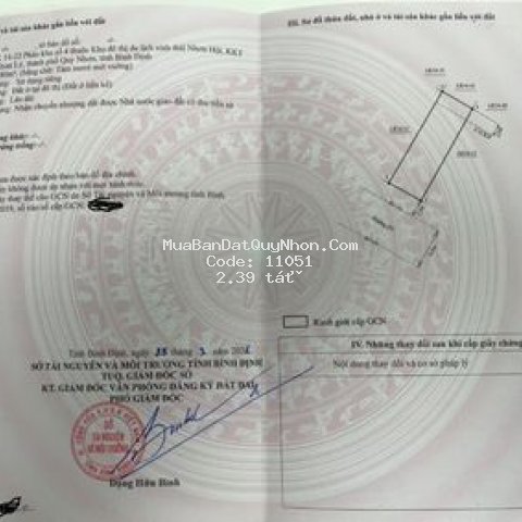 Dính dịch covid cần ra hàng gấp lô đất lk 80m2