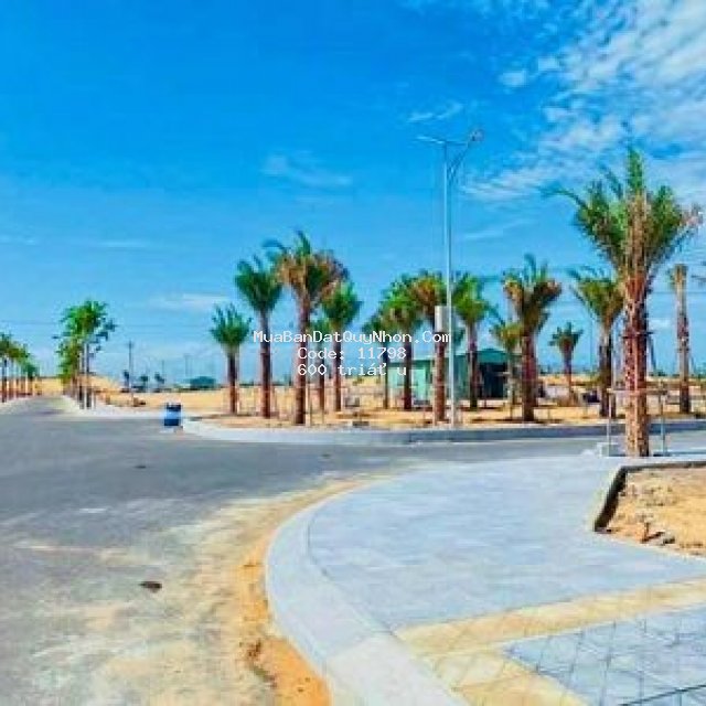 Dự án view biển quy nhơn