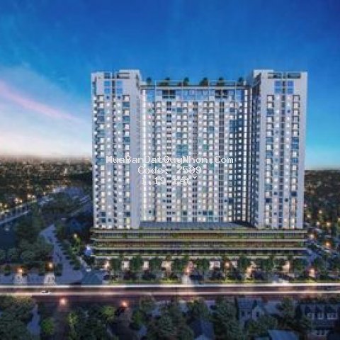 Ecolife riverside ch được nhiều gia đình lựa chọn