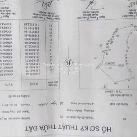 Em cần tìm đối tác hoặc bán hết vườn