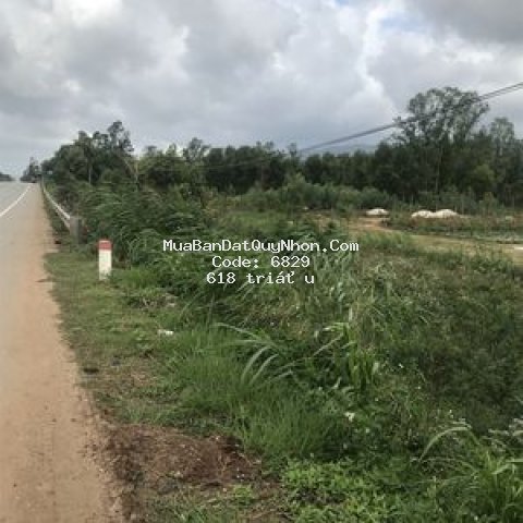 Mặt tiền ql1a mỹ lộc phù mỹ