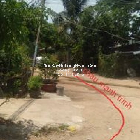 Nhà cấp 4 43m2 đường châu mạnh trinh, tpquy nhơn