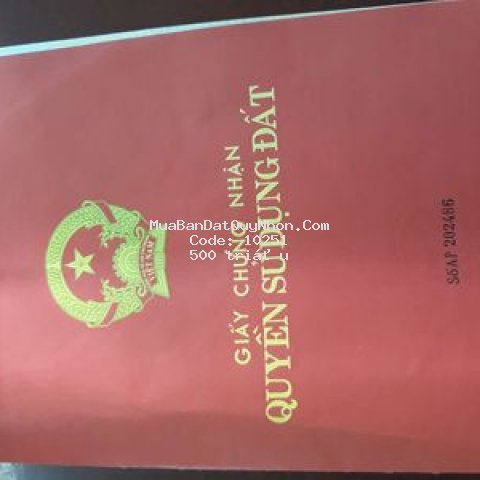 Nhà trệt