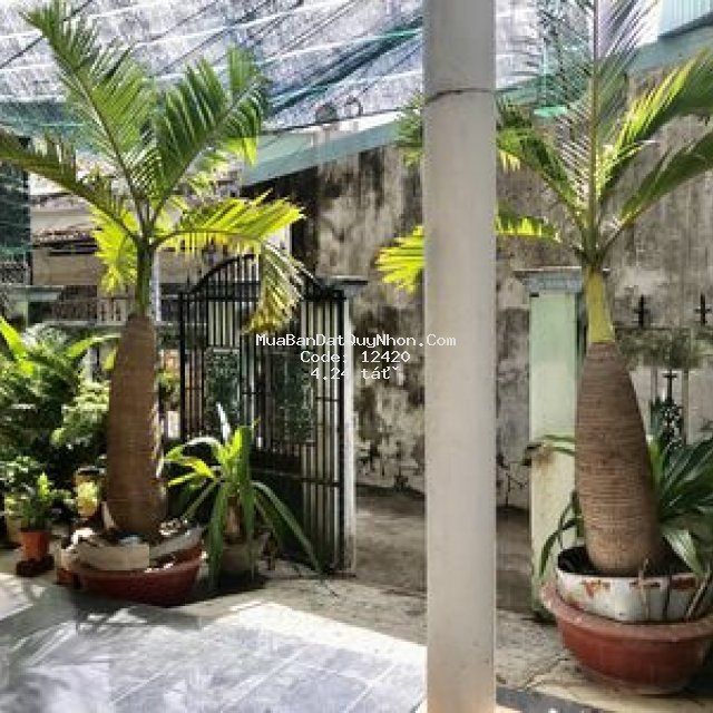 Thành phố qui nhơn 139m²