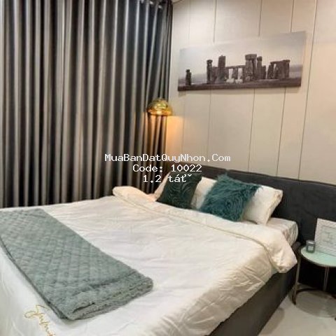 Thời điểm vàng để sở hữu bđs tại quy nhơn