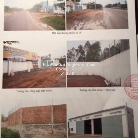 Trả nợ gấp, bán kho mặt tiền ql19 2000m2 bình định