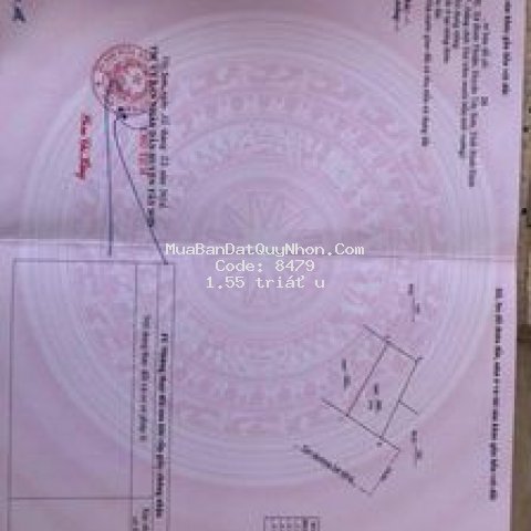 Vị trí đất đẹp, phù hợp với kinh doanh, đường 12m
