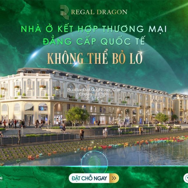 2tỷ mua nhà 4mê cao cấp 5 sao ở thành phố quy nhơn