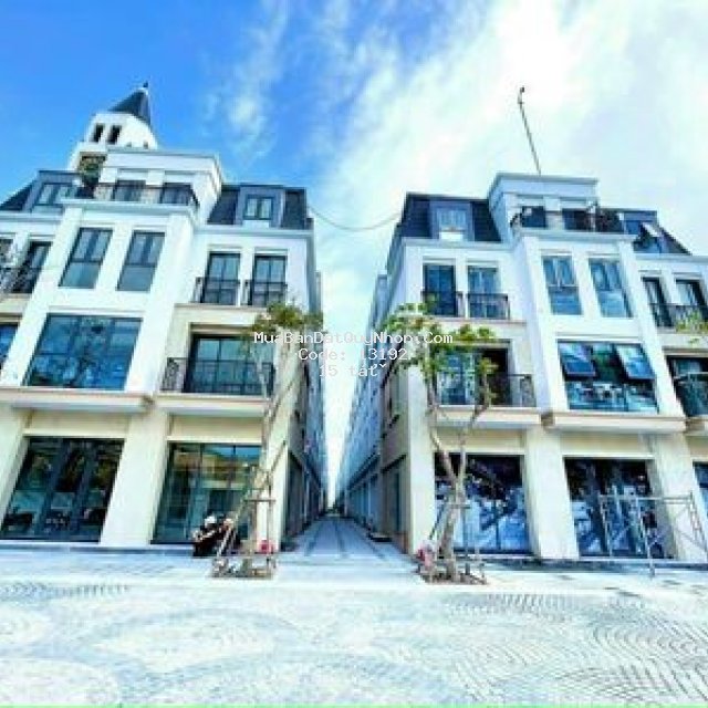 Bán bizhouse biệt thự dự án hải giang
