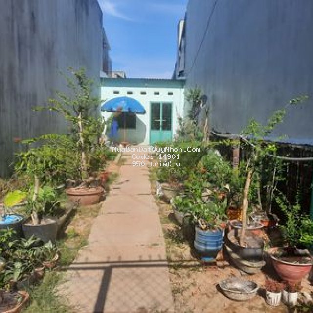 Bán đất kèm nhà cấp 4