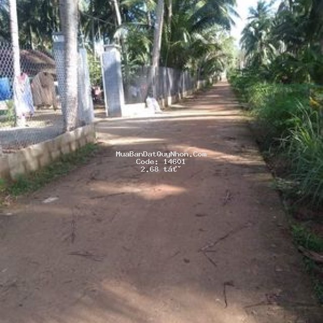 Bán đất mt giá rẻ đ.nguyễn thị yến- hoài thanh tây