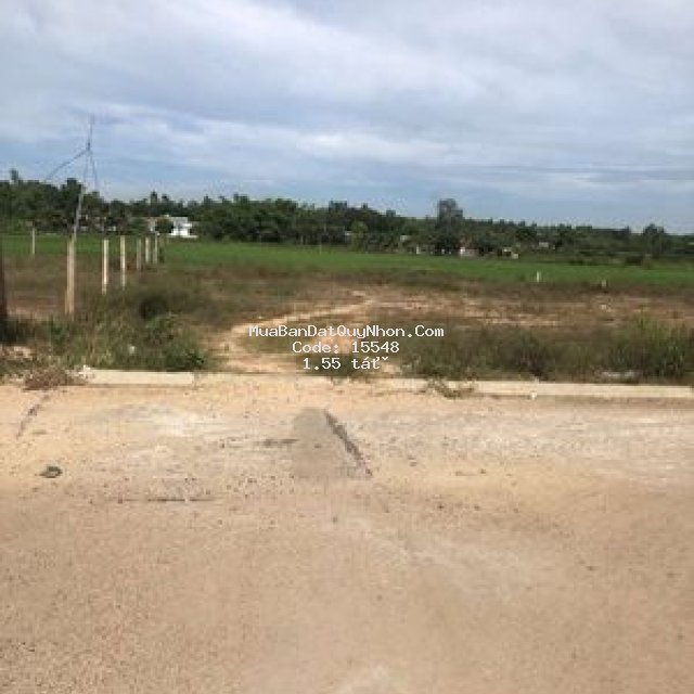 Bán đất ql1a, hòa dõng, cát tân, phù cát, b/định