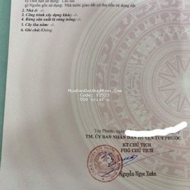 Bán đất thôn vinh quang 1, xã phước sơn - t. phước