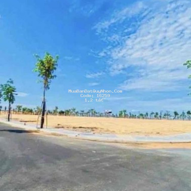 Bán đất view biển giá mềm trả nợ cho con