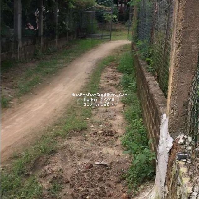 Bán đất:1tỷ5