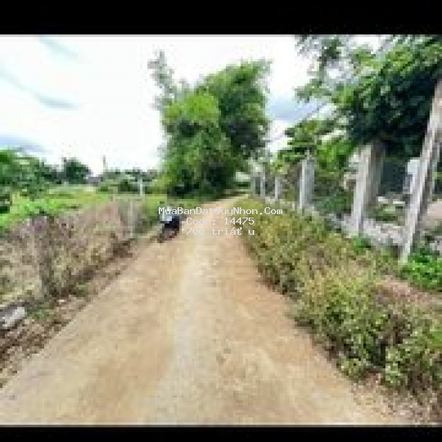 Bán lô đất 462 m2 có thổ cư ở phước thành