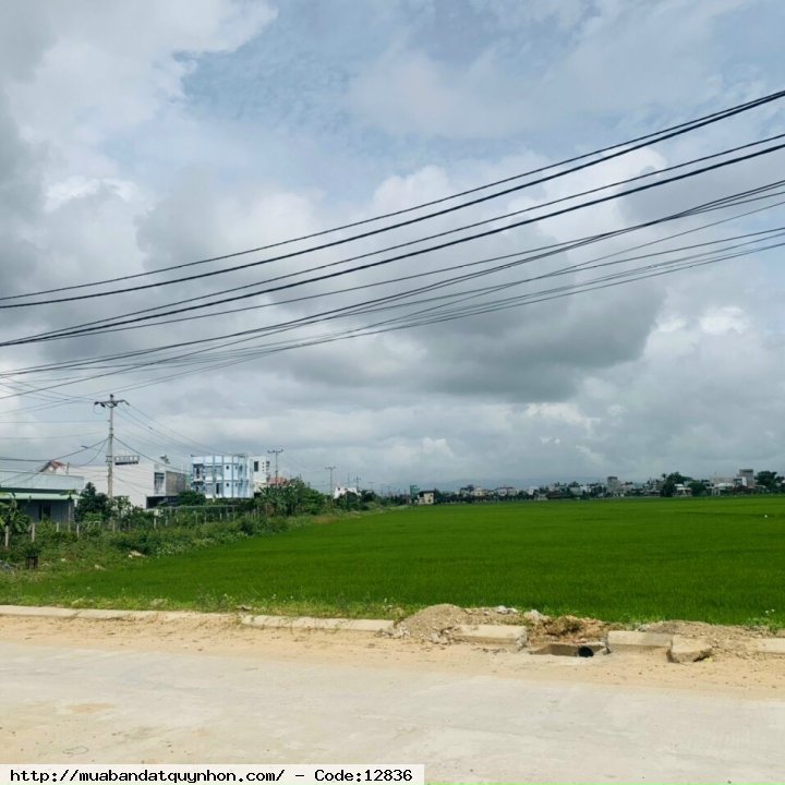 Bán lô đất LK4.1 (góc Trần Bá_Đường số 2) thị trấn Diêu Trì. Cách QL 1A 50m. Lộ giới mênh mông, view đồng ruộng xanh mướt Thích hợp cafe, quán nhậu phục vụ khu dân cư hiện hữu. S: 110.5m2.  💰 2 tỷ 250 triệu