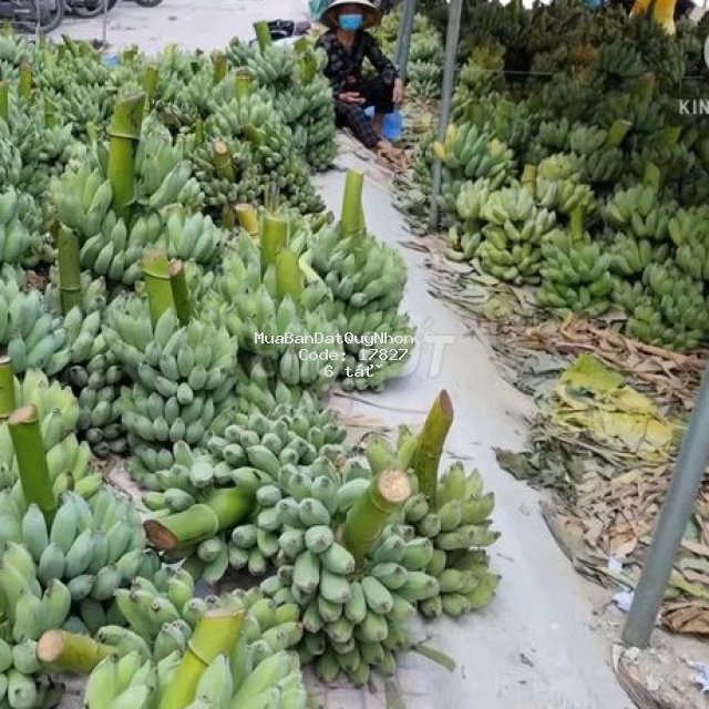 Bán lô đất  lớn  đối diện chợ gò bồi ngang 15m