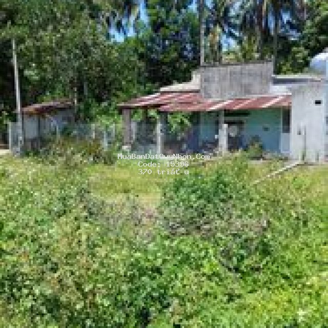 Bán lô đất thổ cư 266m2 giá 370 triệu